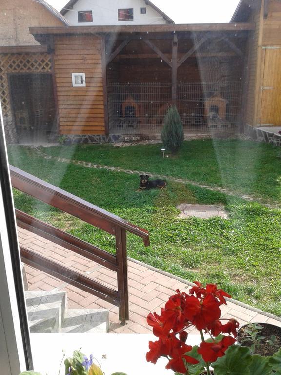 Pension Piatra Craiului モイエチウ・デ・ジョス エクステリア 写真
