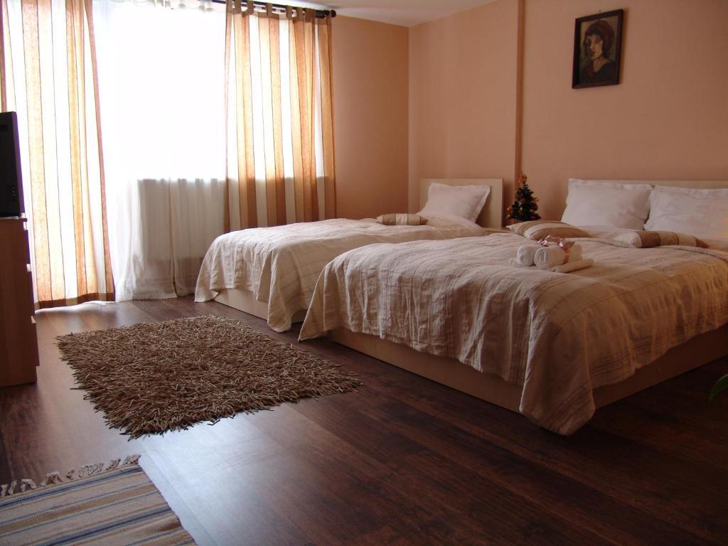 Pension Piatra Craiului モイエチウ・デ・ジョス 部屋 写真