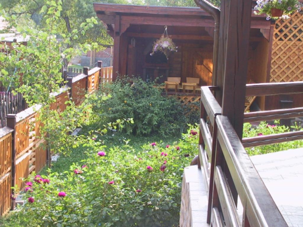Pension Piatra Craiului モイエチウ・デ・ジョス エクステリア 写真