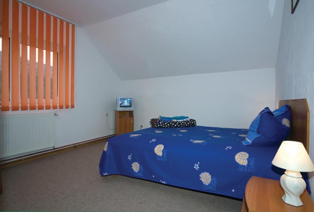 Pension Piatra Craiului モイエチウ・デ・ジョス 部屋 写真