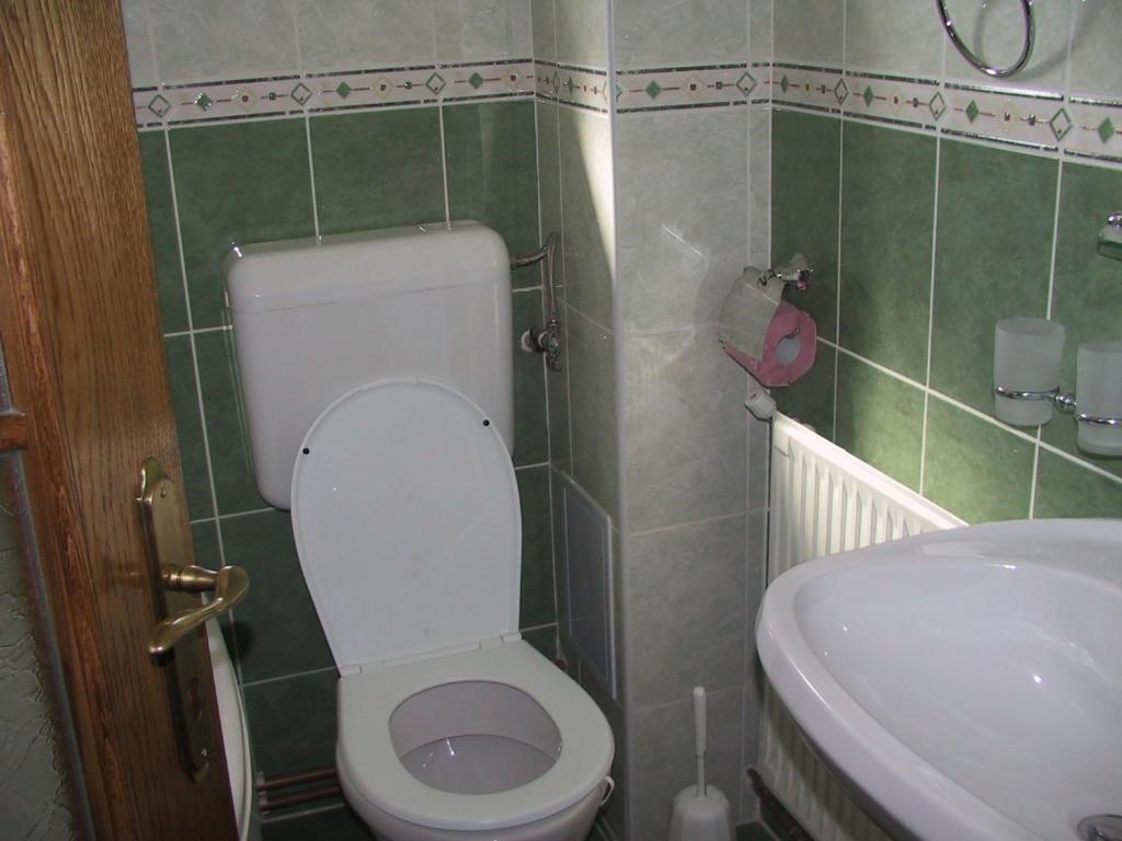 Pension Piatra Craiului モイエチウ・デ・ジョス 部屋 写真