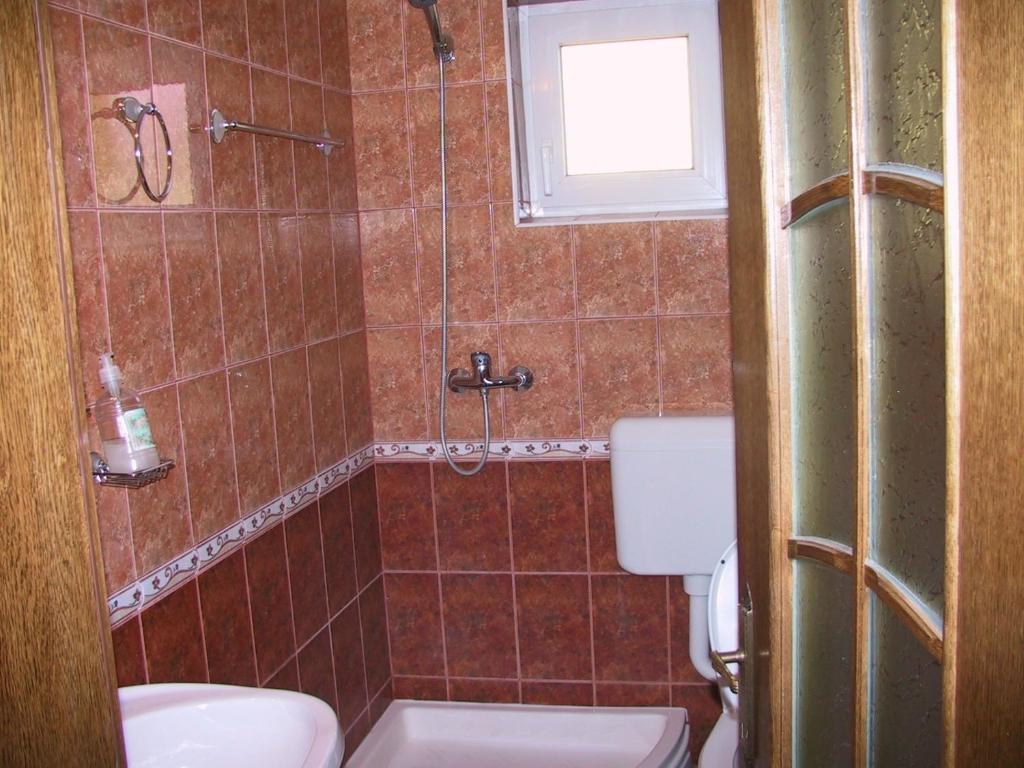 Pension Piatra Craiului モイエチウ・デ・ジョス 部屋 写真