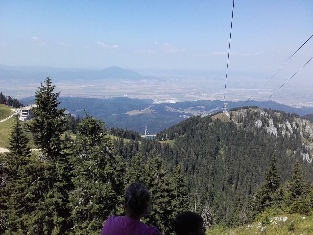 Pension Piatra Craiului モイエチウ・デ・ジョス エクステリア 写真
